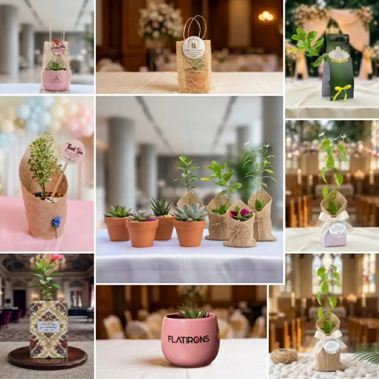 Nature's Finest, Gifted With Care