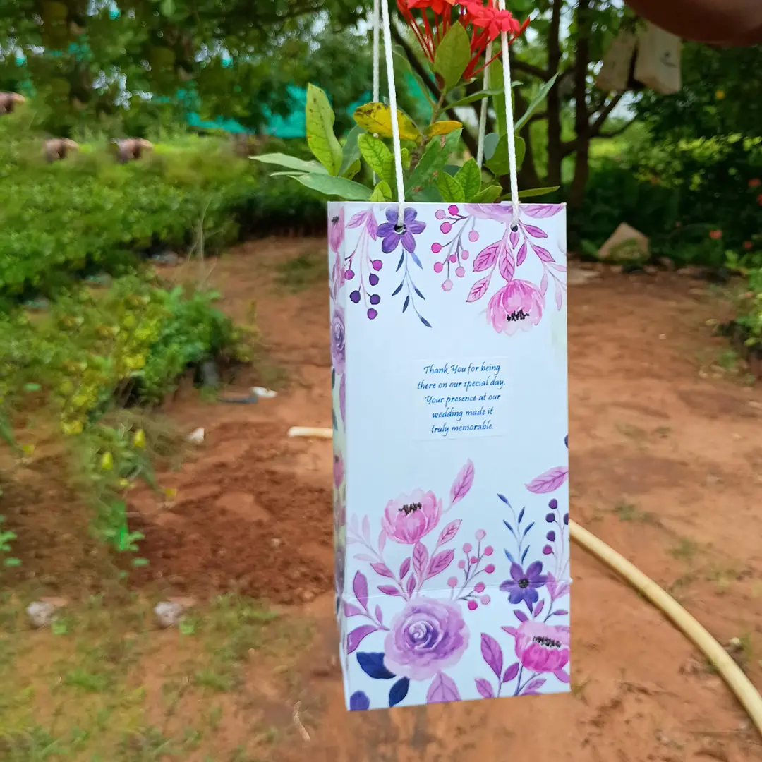 Plant in a Paper Bag