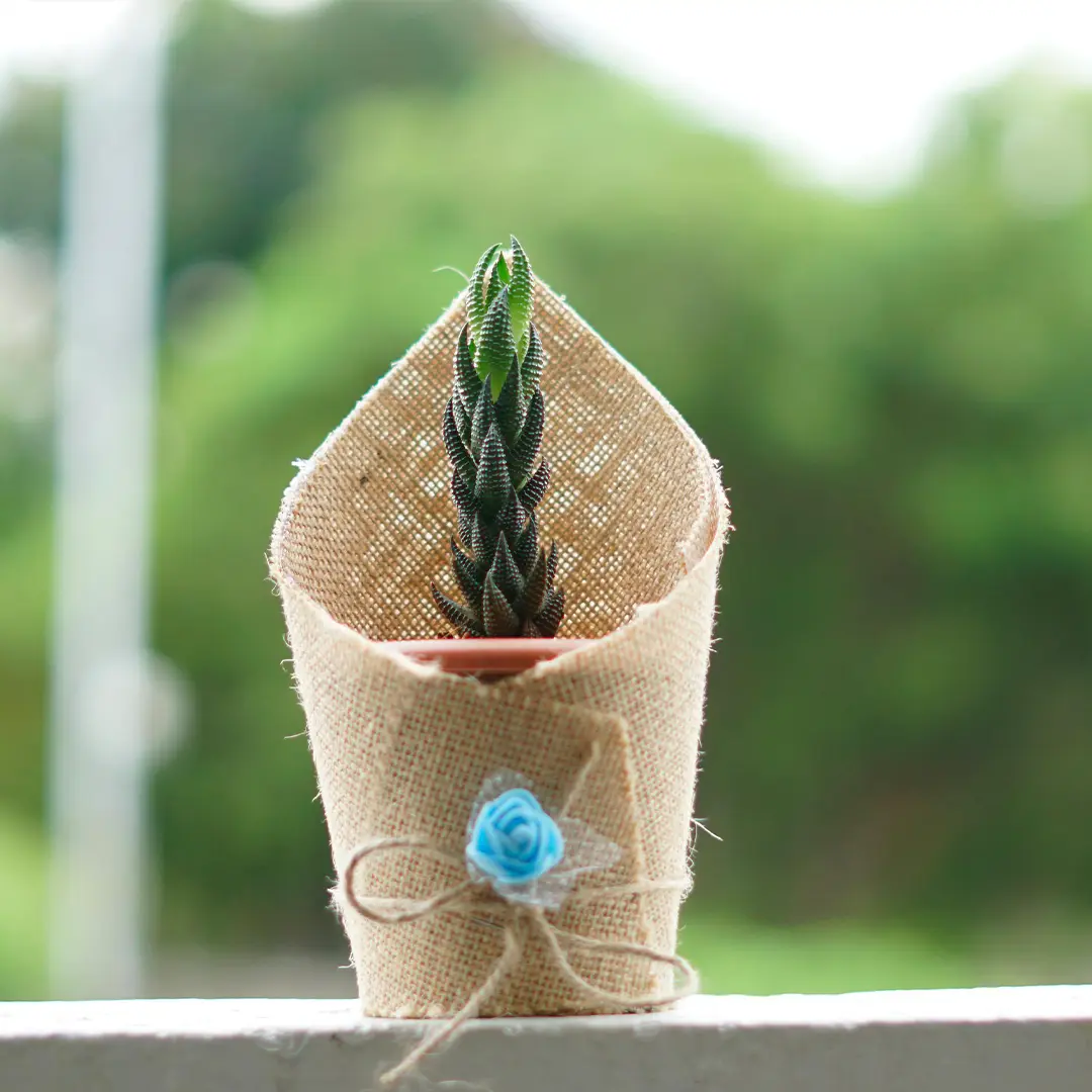 Jute Cone Hamper