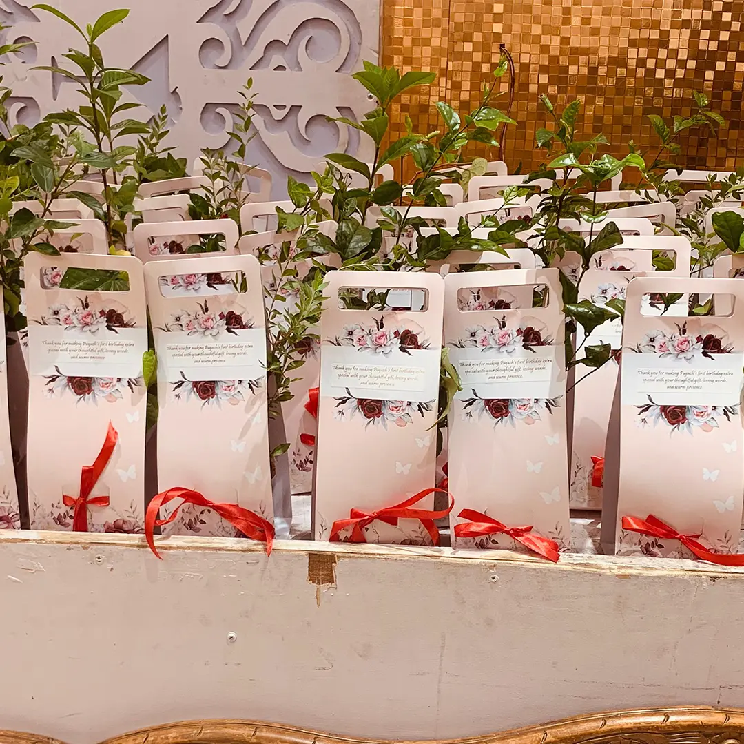 Light Color Flower Plant Hamper