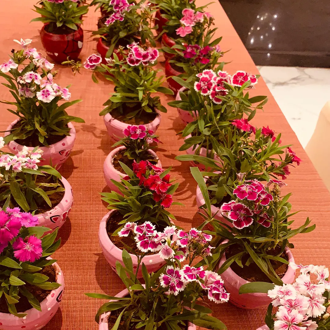 Terracotta Pot Hamper