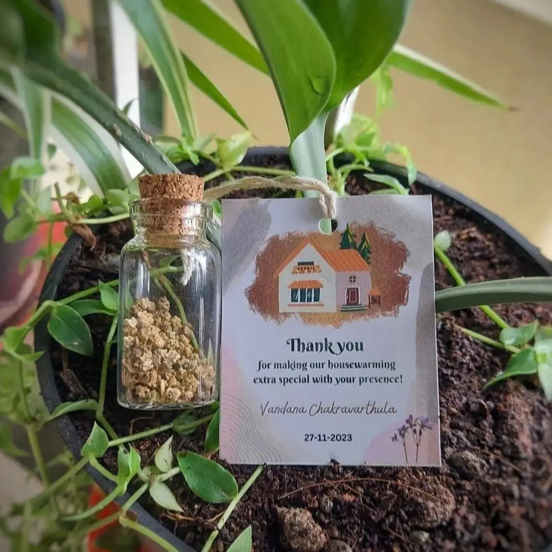Seed Bottle for House Warming