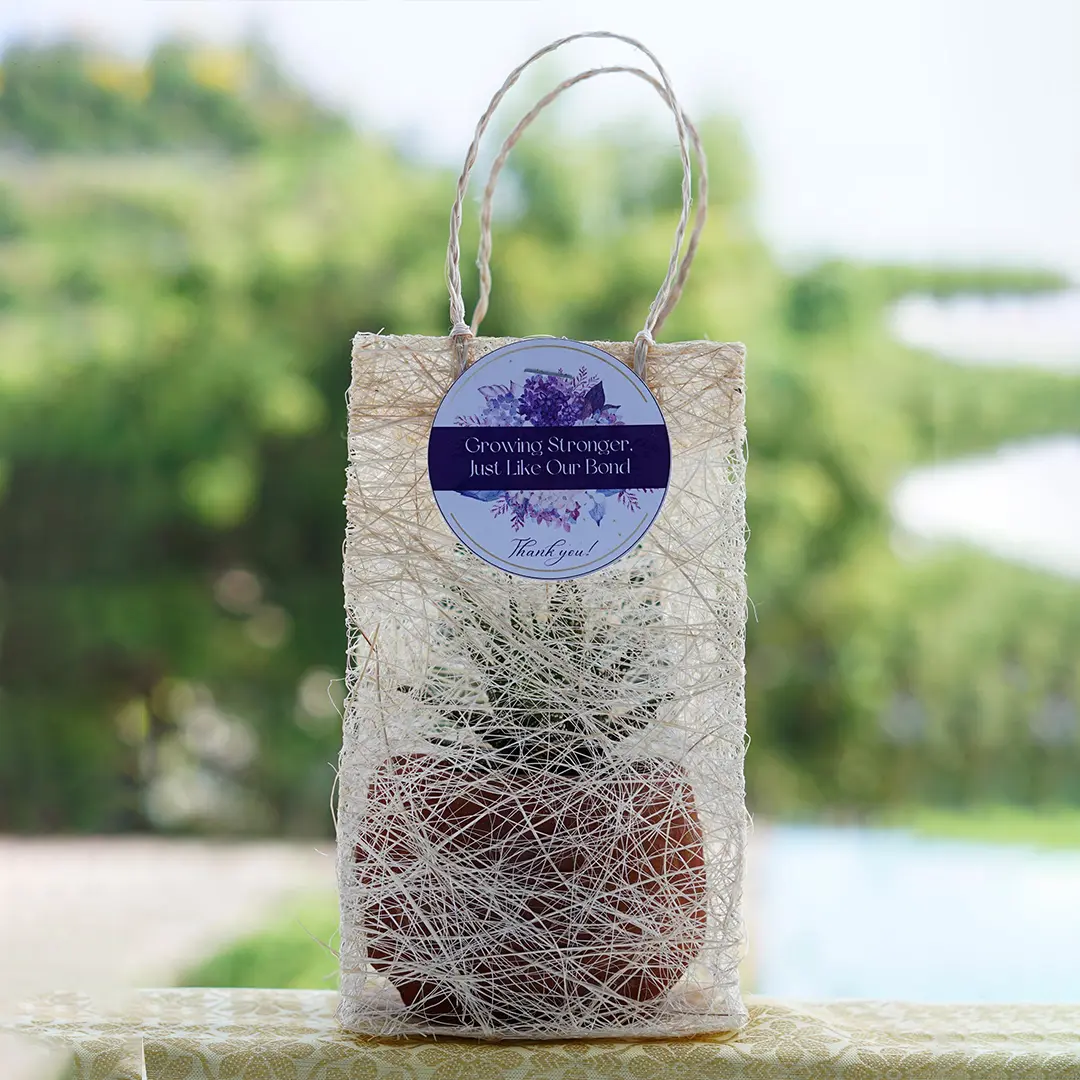 Abaca Bag Hamper